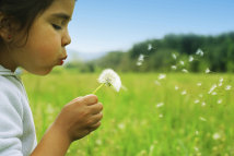 iak_website006001.jpg